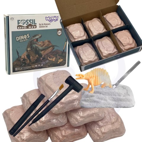 WOOPIE Wykopalisko 6w1 Dinozaur Szkielet Mały Archeolog 6 szt. Woopie WOOPIE Wykopalisko 6w1 Dinozaur Szkielet Mały Archeolog 6 szt. Woopie