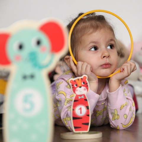 TOOKY TOY Drewniana Gra Zręcznościowa Rzut do Celu Zwierzątka 15 el. Tooky Toy TOOKY TOY Drewniana Gra Zręcznościowa Rzut do Celu Zwierzątka 15 el. Tooky Toy