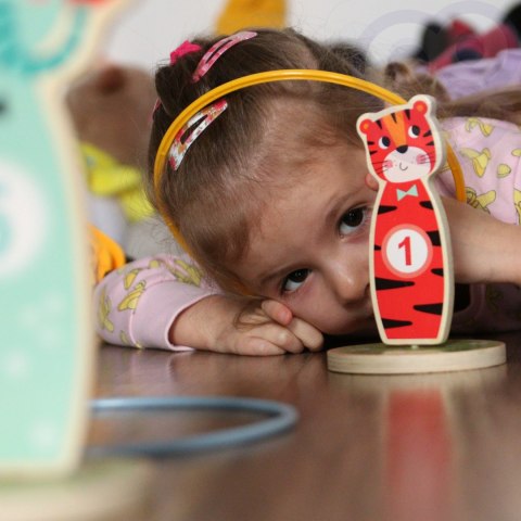 TOOKY TOY Drewniana Gra Zręcznościowa Rzut do Celu Zwierzątka 15 el. Tooky Toy TOOKY TOY Drewniana Gra Zręcznościowa Rzut do Celu Zwierzątka 15 el. Tooky Toy