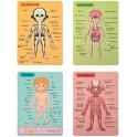 Tooky Toy Drewniane Puzzle Montessori Magnetyczne Nauka Anatomia Człowieka 78el. Tooky Toy