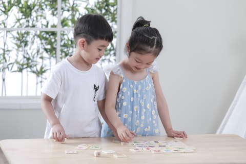 VIGA Gra Edukacyjna Układanka Ucząca Sortuj Zmysły 37 el. Montessori Viga Toys VIGA Gra Edukacyjna Układanka Ucząca Sortuj Zmysły 37 el. Montessori Viga Toys