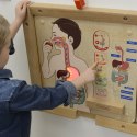 MASTERKIDZ Tablica Edukacyjna Układ Trawienny Montessori Masterkidz