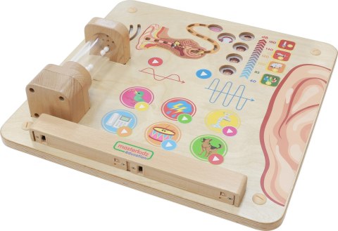 MASTERKIDZ Tablica Edukacyjna Zmysł Słuchu Montessori Masterkidz MASTERKIDZ Tablica Edukacyjna Zmysł Słuchu Montessori Masterkidz
