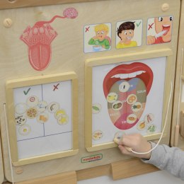 MASTERKIDZ Tablica Edukacyjna Zmysł Smaku Montessori Masterkidz