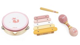 VIGA PolarB Zestaw Instrumentów Muzycznych Różowy Viga Toys