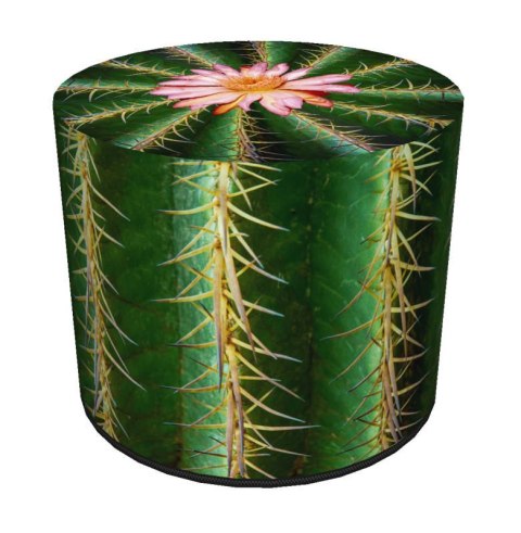 Okrągła pufa dekoracyjna - CACTUS Bertoni Okrągła pufa dekoracyjna - CACTUS Bertoni