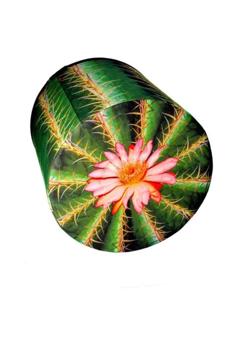 Okrągła pufa dekoracyjna - CACTUS Bertoni Okrągła pufa dekoracyjna - CACTUS Bertoni