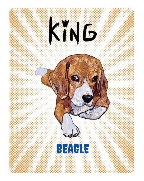 TABLICZKA KING BEAGLE YOUNG - 20x28 cm ARCO DESIGN