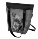 Torba/plecak 2w1 - Pit Bull Bertoni