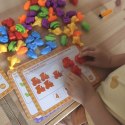 WOOPIE Zestaw Edukacyjny Nauka Liczenia Montessori Sorter Kolorów 16SZT Woopie