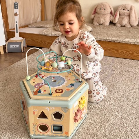 TOOKY TOY Interaktywny Drewniany Sześciokąt Montessori Otwierane Pudełko Tooky Toy TOOKY TOY Interaktywny Drewniany Sześciokąt Montessori Otwierane Pudełko Tooky Toy