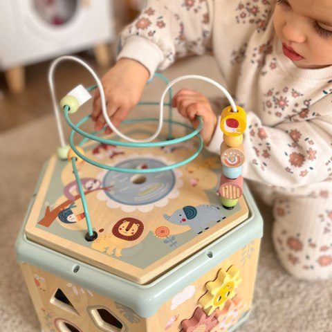 TOOKY TOY Interaktywny Drewniany Sześciokąt Montessori Otwierane Pudełko Tooky Toy TOOKY TOY Interaktywny Drewniany Sześciokąt Montessori Otwierane Pudełko Tooky Toy