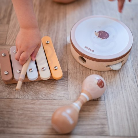 VIGA PolarB Zestaw Instrumentów Muzycznych Z Ptaszkiem Viga Toys VIGA PolarB Zestaw Instrumentów Muzycznych Z Ptaszkiem Viga Toys